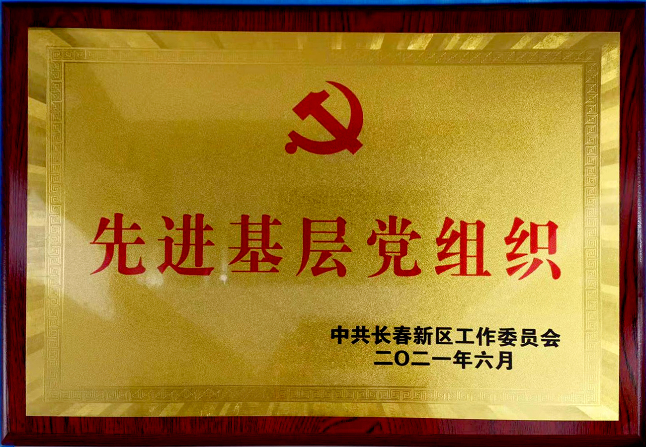 長春新區先進基層黨組織